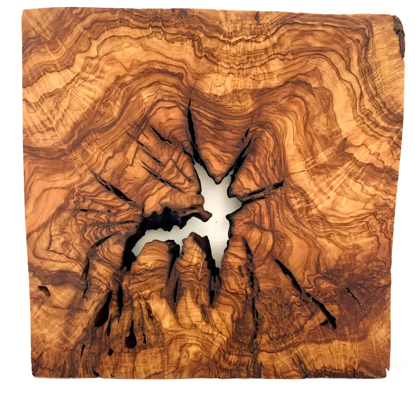 Wooden olive wood tile with a unique grain pattern on a white background