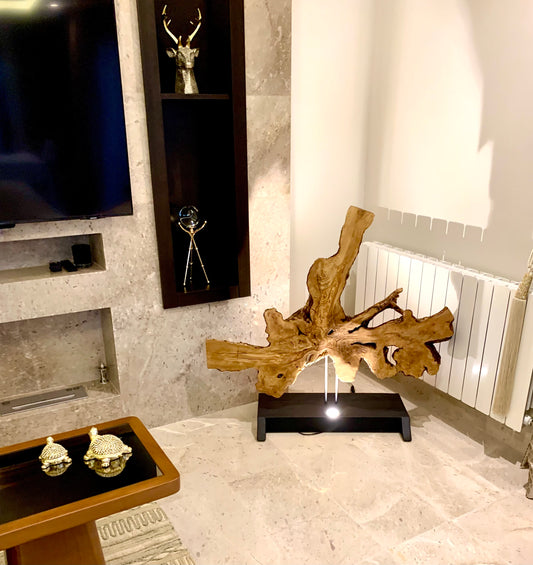 Olive Wood Burl Floor Lamp | Handcrafted Natural Art Light