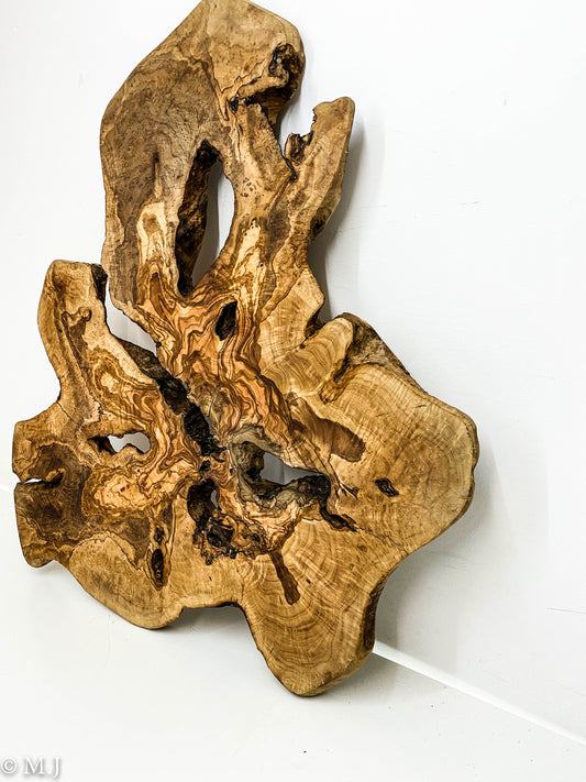 Unique Mediterranean Olive wood slab - Wall Art or Epoxy  Table Top
