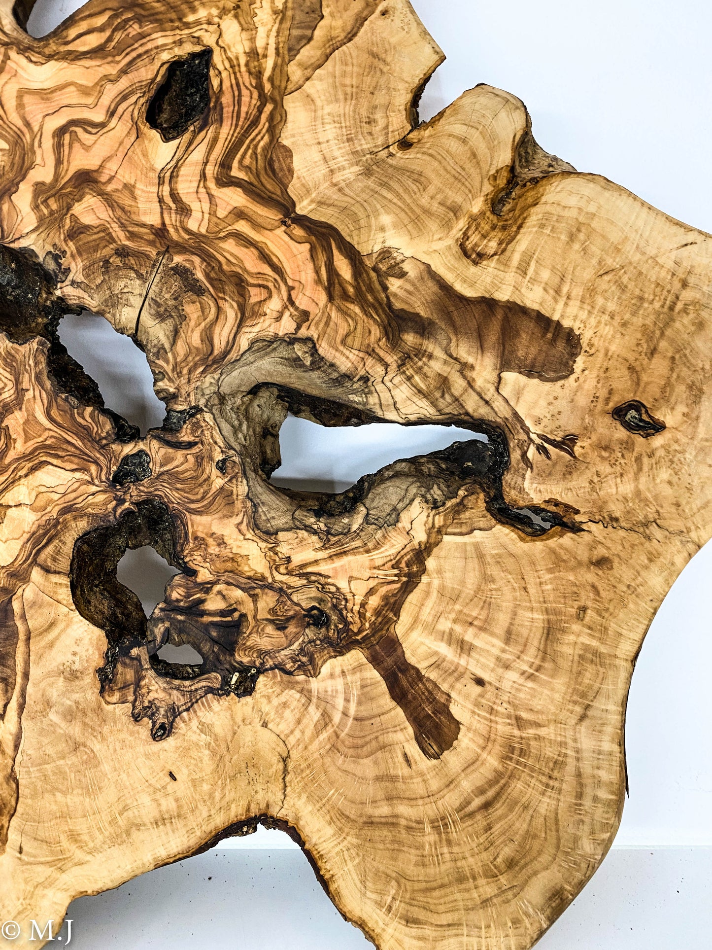 Unique Mediterranean Olive wood slab - Wall Art or Epoxy  Table Top
