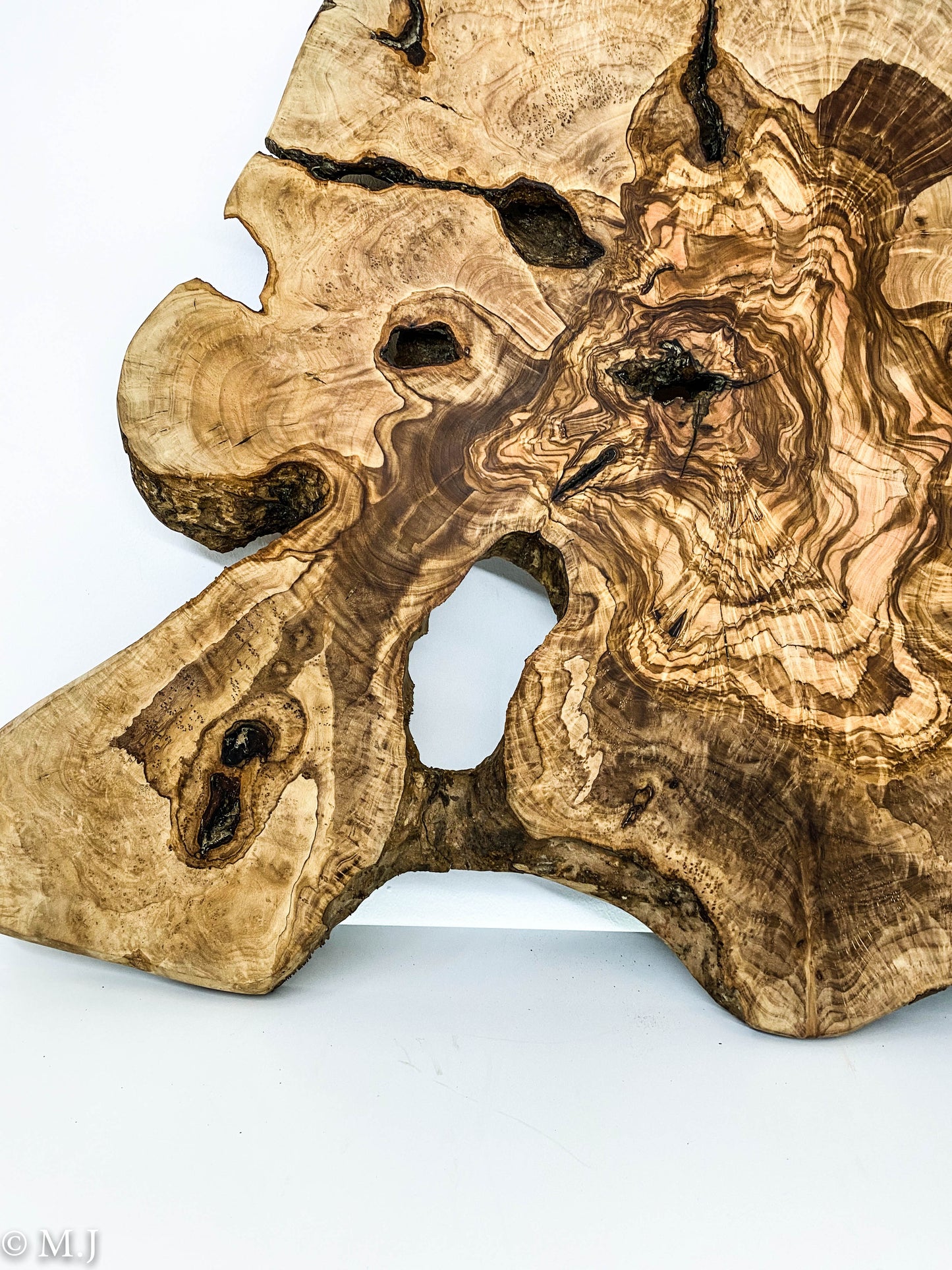 Natural Olive Wood Root Slab – Artistic Live Edge Piece for Wall Décor or Table Creation
