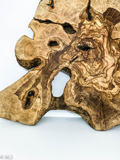 Natural Olive Wood Root Slab – Artistic Live Edge Piece for Wall Décor or Table Creation