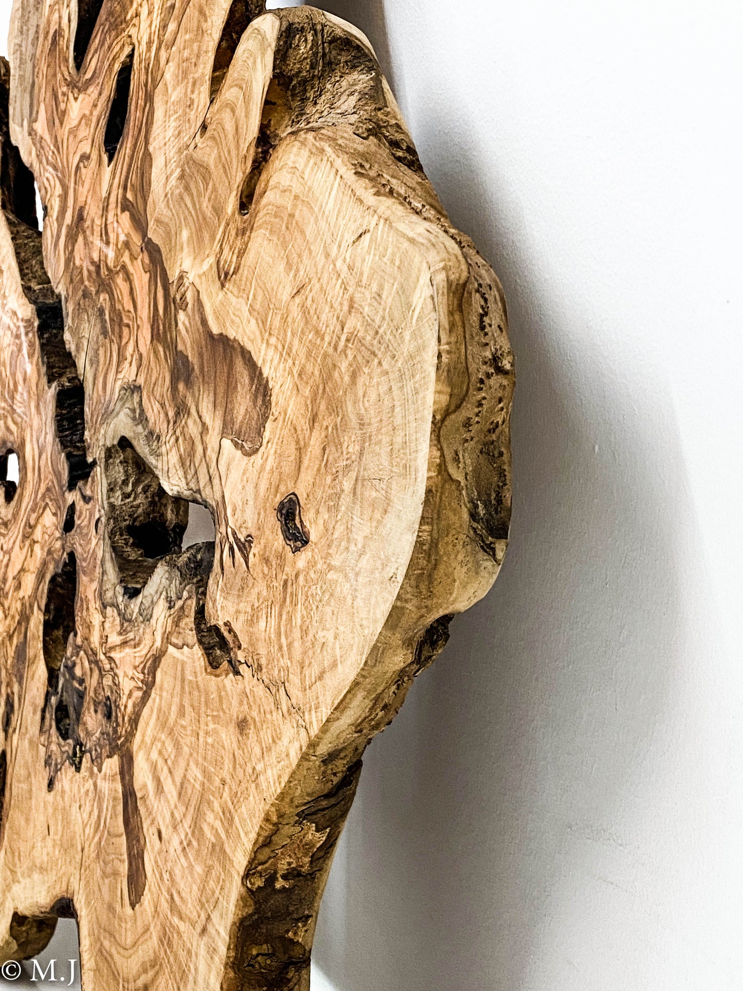 Unique Mediterranean Olive wood slab - Wall Art or Epoxy  Table Top